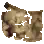 Mapa del viajero