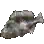 Plump Fish