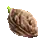 Tunta's Seed