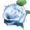 Moonlight Delotia