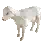 Captured Sheep