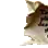 Torn Note Fragment