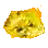 Illusion destructrice