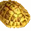 Golden Turtle Shell
