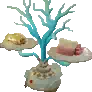 Coral Dish