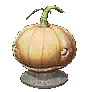 Oddly Shaped Pumpkin
