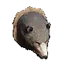 [Guild] Stuffed Bear Head