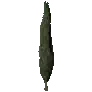 [Manor] Cypress Tree