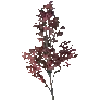 [Manor] Maple Tree