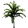 [Manor] Small Palm Tree