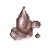 Cedar Sap