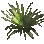 Seidenhoniggras