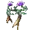 Immortelle