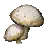 Champignon flèche