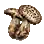 Seta tigre