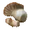 Emperor Mushroom