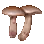 Nebelpilz