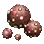 Champignon bossu