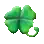 Four Leaf Clover