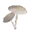 White Umbrella Mushroom