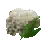 White Flower Mushroom