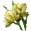 Fleur jaune