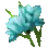 Flor azul cielo