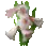 Audria