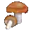 Chanterelle