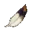 Soft Ferri Feather