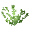 Tangleweed