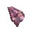 Broken Shell