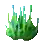 Round Head Corals