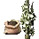 Pfeffersamen