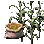 Magical Corn Seed