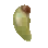 Shelled Seed