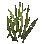 Blé