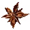 Star Anise