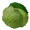 Repollo
