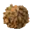 Cannelle
