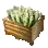 Penestraria Crate
