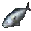 Seriola