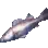 Cuvier