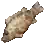 Mandarin Fish