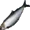 Herring