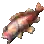 Rosefish