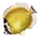 Butterflyfish