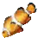 Clownfish