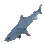 Requiem Shark