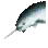 Narval
